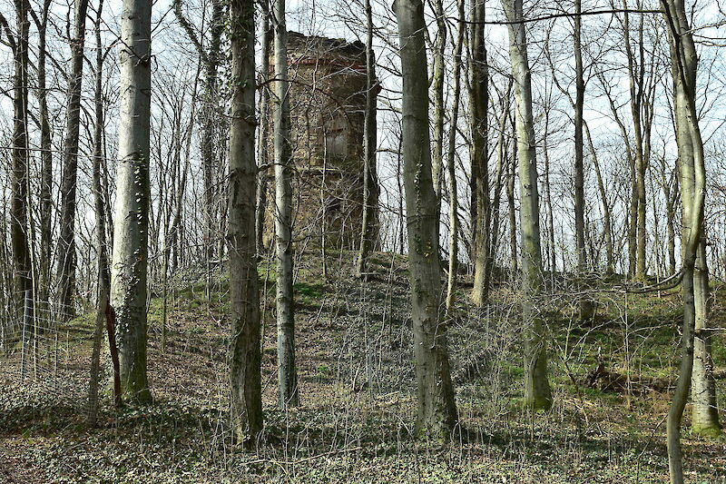 Künstliche Ruine (erbaut 1807) auf der Lausker Schanze.