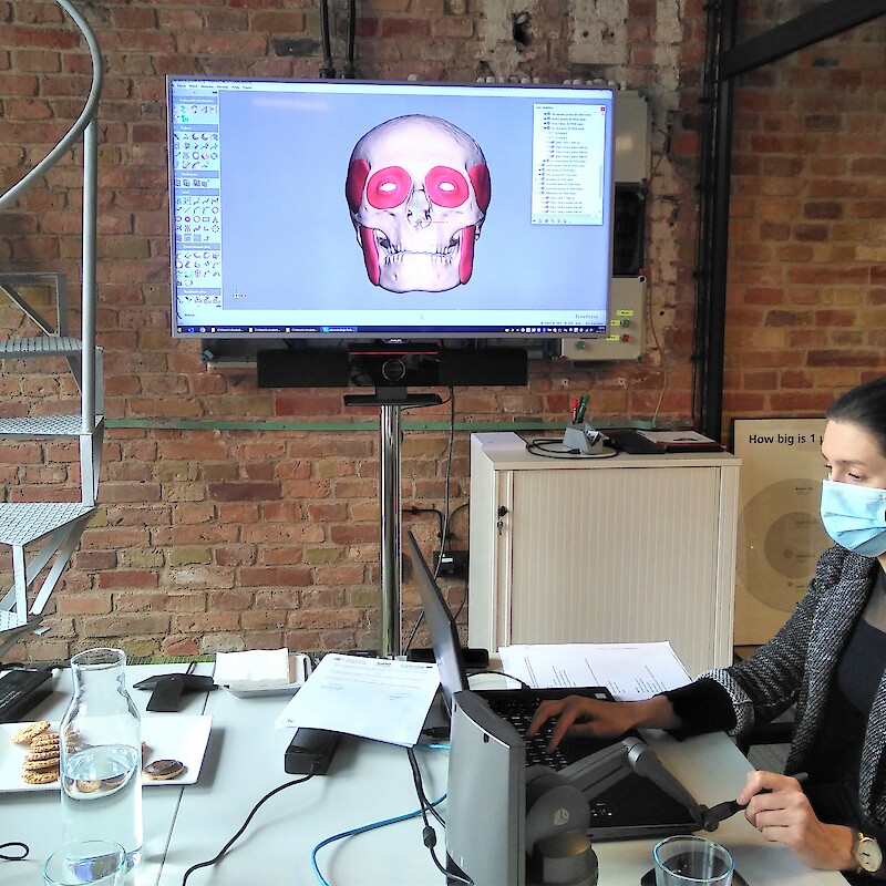 Iga Chudaska z firmy Lenso przedstawia model czaszki z wybranymi mięśniami twarzy.